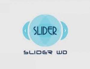 استخراج اطلاعات پایگاه داده از طریق  افزونه Slider پلتفرم 10Web